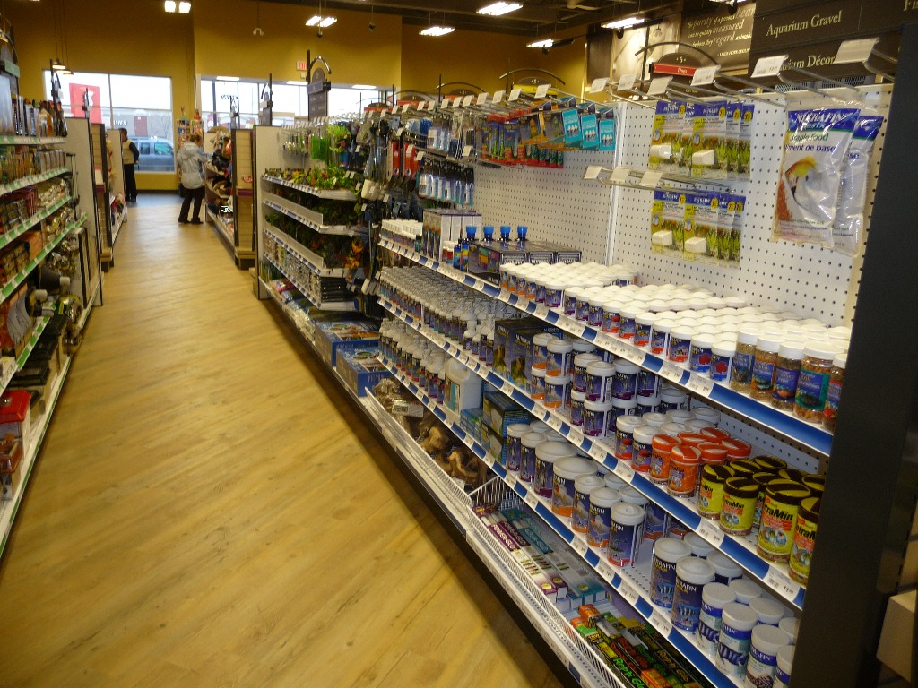 Pet Store Displays | Wilson Display